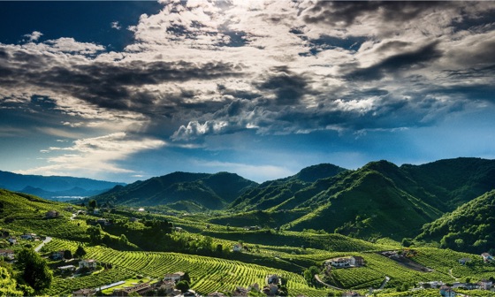 The Write Taste wine report on Le Colture Prosecco Superiore